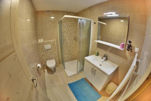 Un baño con ducha, inodoro y lavabo. en Apartments Arh, en Bohinj