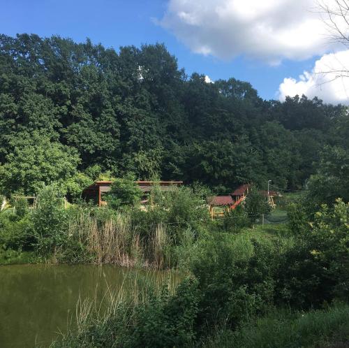 a cabin in the woods next to a lake at Pensiunea VisAventura in Vişan