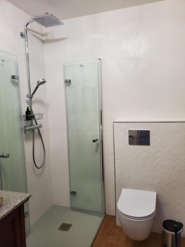 a bathroom with a toilet and a glass shower at Nad Dąbrówką in Mała Huta