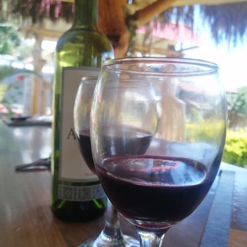 a glass of red wine next to a bottle of wine at Cabañas Guacari San Agustín huila in San Agustín