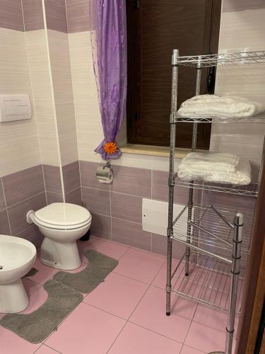 un bagno rosa con servizi igienici e lavandino di B&b Mula Germaneto a Santa Maria