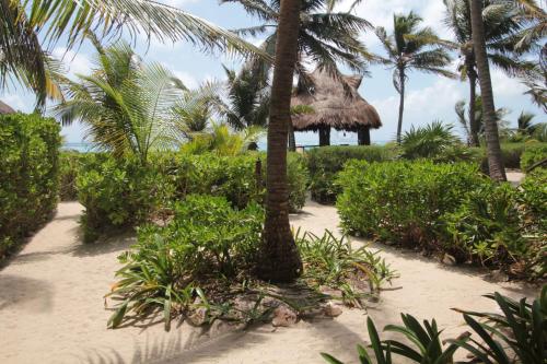 a beach with palm trees and a thatch hut at Sol Caribe in Punta Allen