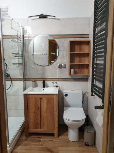 a bathroom with a toilet and a sink and a mirror at Warszawska Centrum - w cenie 4 rowery, łódka wiosłowa, kajak, rower wodny, plaża in Mrągowo