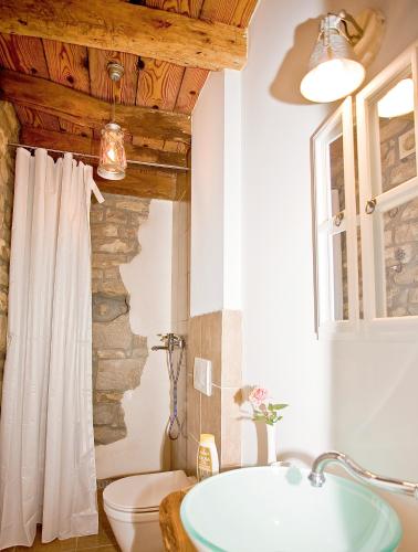 a bathroom with a sink and a toilet at Boutique Villa Pucinum in Buzet