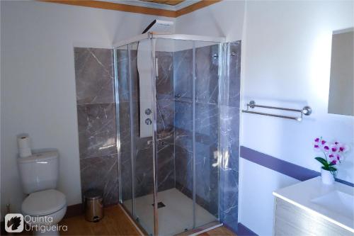 a bathroom with a shower with a toilet and a sink at Quinta da Urtigueira in Felgueiras