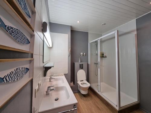 サン・ジャン・ド・リュズにあるBel appartement 3 ch. terrasse parkingのバスルーム(トイレ、シャワー、シンク付)