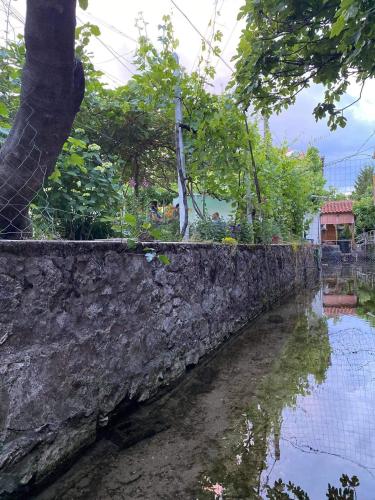 a stone wall next to a body of water at Bujtina Gjyshi Ilo in Pogradec