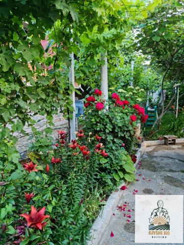 a garden with red flowers and a sign at Bujtina Gjyshi Ilo in Pogradec