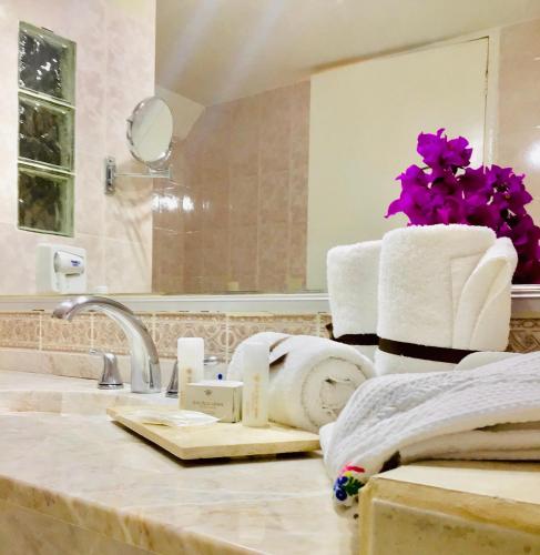 Un baño de Hotel Real de Minas Tradicional