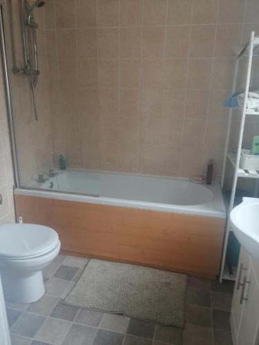 a bathroom with a tub and a toilet and a sink at Ripon Street Lincoln in Lincoln