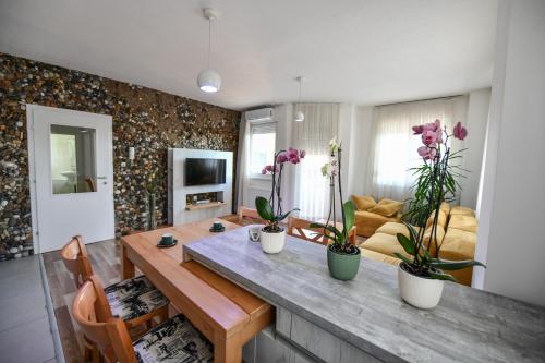ein Wohnzimmer mit einem Tisch mit Pflanzen darauf in der Unterkunft Exclusive 7- New Modern Cozy Apartment in Kočani