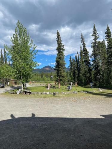 a parking lot with a tree and a park at Carlo Creek Cabins in McKinley Park