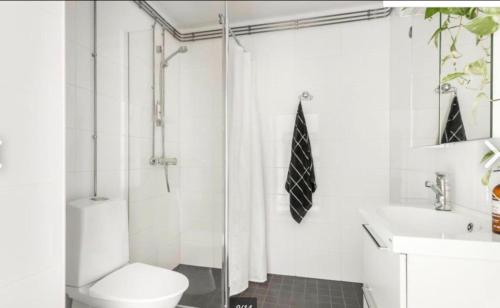 a bathroom with a shower and a toilet and a sink at Scandinavian design heart City Center Runeberginkatu in Helsinki