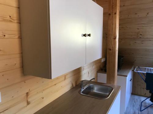 eine Küche mit einem Waschbecken und einem Schrank in der Unterkunft penzion Stará Škola in Nižná Boca