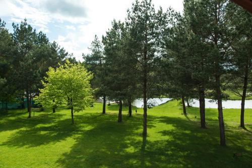 a group of trees in a field with a lake at Rentynówka in Gietrzwałd