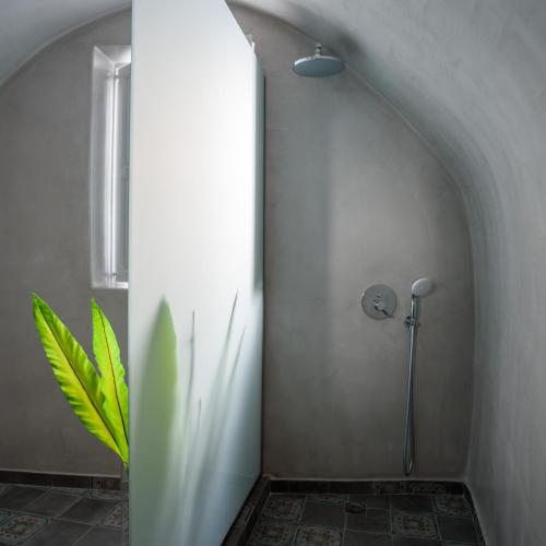 a bathroom with a shower with a plant in the corner at Betty's Home Santorini in Karterados