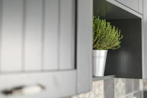 a potted plant sitting on a shelf in a kitchen at Betty's Home Santorini in Karterados
