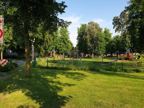 a park with a playground with a tree in the grass at Naturpur die Wellnessoase in Leezen