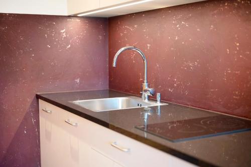 a kitchen with a sink and a red wall at Teutenhofer Zwetschge in Feldthurns