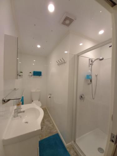 uma casa de banho com um chuveiro, um lavatório e um WC. em Lemon Tree Apartment Tawa em Wellington