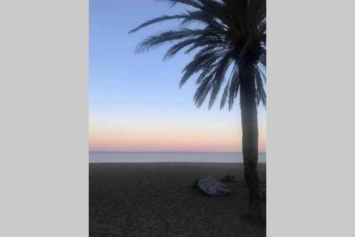 Apartment in 1st line beach