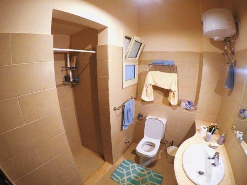 a small bathroom with a toilet and a sink at Studio in Byoum by Qaroun lake in Fayoum in Qaryat at Ta‘mīr as Siyāḩīyah