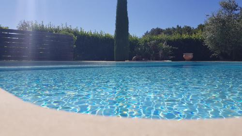 a pool of blue water in a yard at Chambre chez l'habitant pour personnes en mission, just person on mission in Mougins