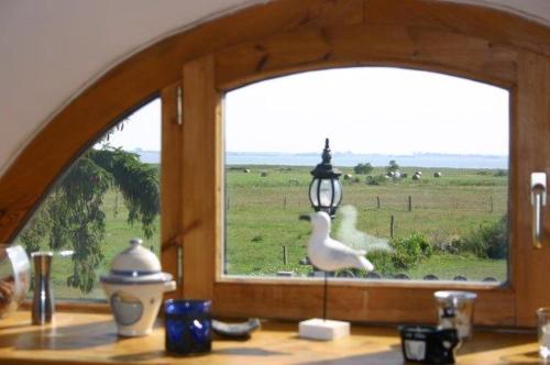a window in a kitchen with a bird looking out at a field at Boddenkieker in Born