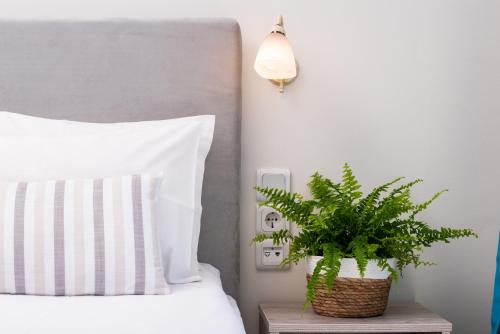 a bed with a pillow and a plant on a table at Domus Litus in Pollonia
