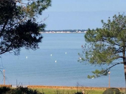 een uitzicht op een grote hoeveelheid water met bomen bij Appartement Panoramic in Arcachon