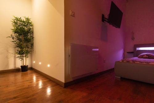 LX203 Suite romantique jacuzzi privé - Love Room