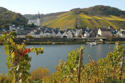 a town with a river with boats in it at Weingut Rosenbaum in Briedel