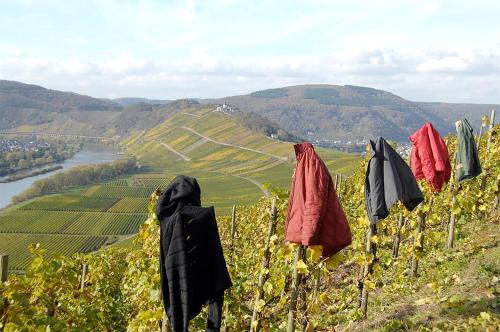 a row of coats hanging on a vineyard at Weingut Rosenbaum in Briedel