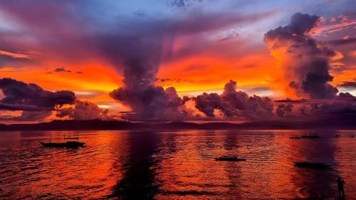 a sunset over the ocean with boats in the water at Roos Guesthouse in Moalboal