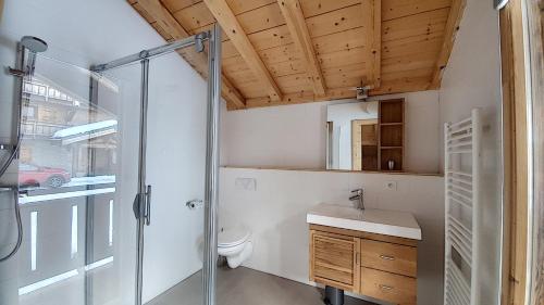 uma casa de banho com uma cabina de duche em vidro e um WC. em CHALET NEUF -SAINT JEAN D'AULPS STATION 12 PERSONNES - CIMES C6 em Saint-Jean-dʼAulps