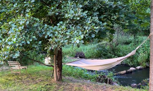 a hammock hanging from a tree next to a river at Landhaus Viezer Mühle in Viez