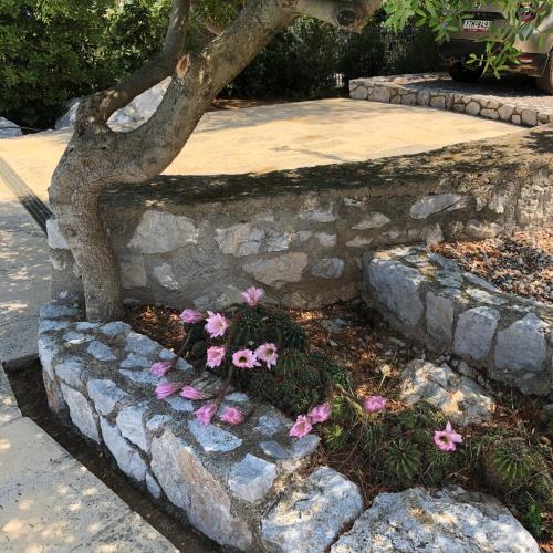 a tree in a stone flower bed with pink flowers at Villa with swimming pool and tennis/basketball court in Theológos