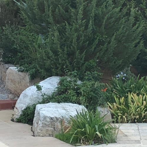 a garden with a large rock and some plants at Villa with swimming pool and tennis/basketball court in Theológos