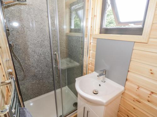 ein Bad mit einer Dusche und einem Waschbecken in der Unterkunft Oak Lodge At Bridge Lake Farm & Fishery in Banbury