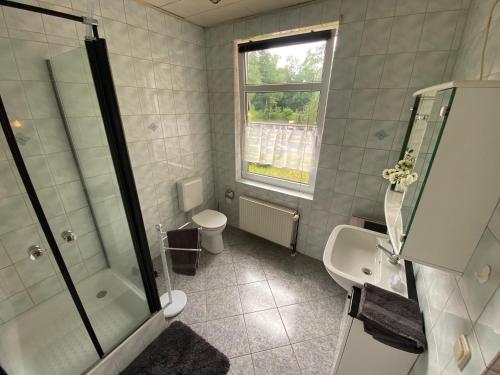 een badkamer met een douche, een toilet en een wastafel bij Landhaus Viezer Mühle in Viez