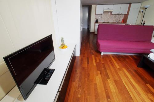 A television and/or entertainment centre at HITrental Niederdorf - Apartments
