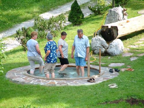 Fotografie z fotogalerie ubytování Brandtnerhof Betriebe v destinaci Waidring