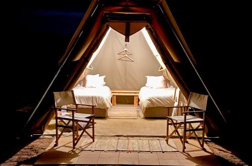 two beds in a tent with two chairs at Glamping at Buckland Estate in Irishtown