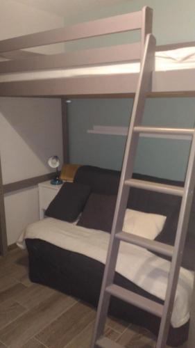 - un lit superposé avec une échelle dans une chambre dans l'établissement Studio centre Carroz CA210, aux Carroz d'Arâches