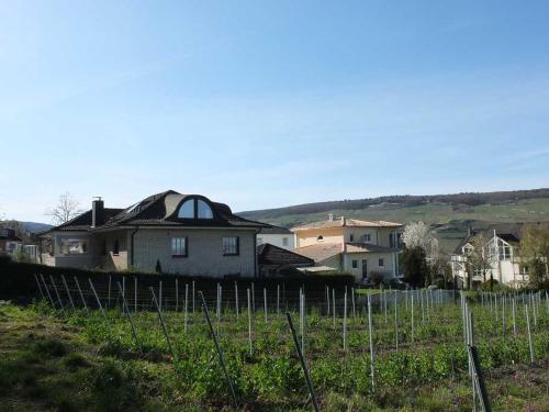 Imagen de la galería de 5 Sterne Ferienwohnung - Am Rheinberg -, en Bingen am Rhein