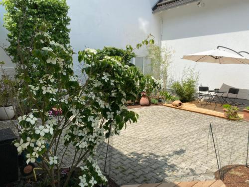 a courtyard with a plant with white flowers and an umbrella at Altstadt-Chalet @Conny's in Brilon