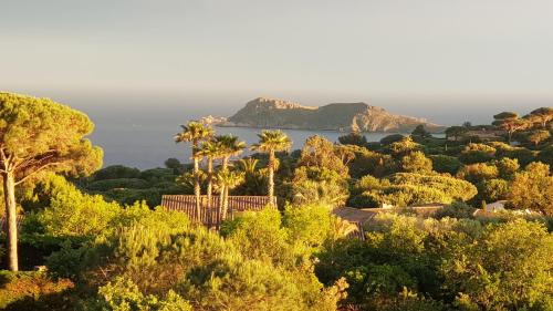 - une vue sur l'océan depuis une colline plantée de palmiers dans l'établissement Villa élégante à Ramatuelle + Piscine, à Ramatuelle