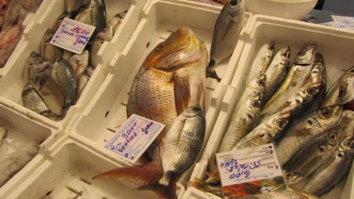 a box of fishes and other seafood on display at Porto Cesareo Sant'Isidoro Delizioso Trilo in Sant'Isidoro