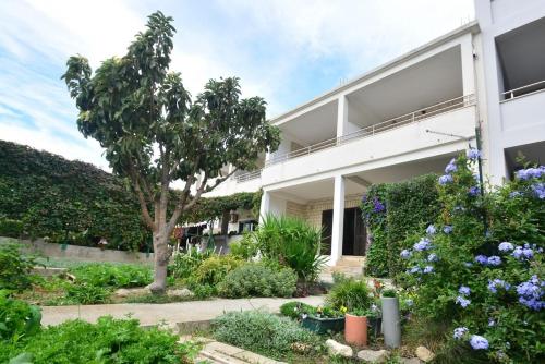 Apartment in Duce with sea view, terrace, air conditioning, WiFi 4969-1