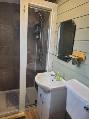 a bathroom with a sink and a shower at Wedger's Hut in Nenagh